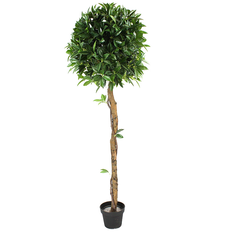 Artificial Sweet Bay Trees