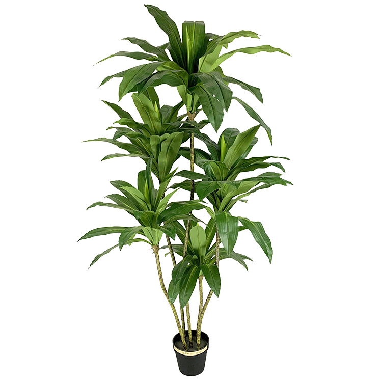 Artificial Dracaena Fragrans