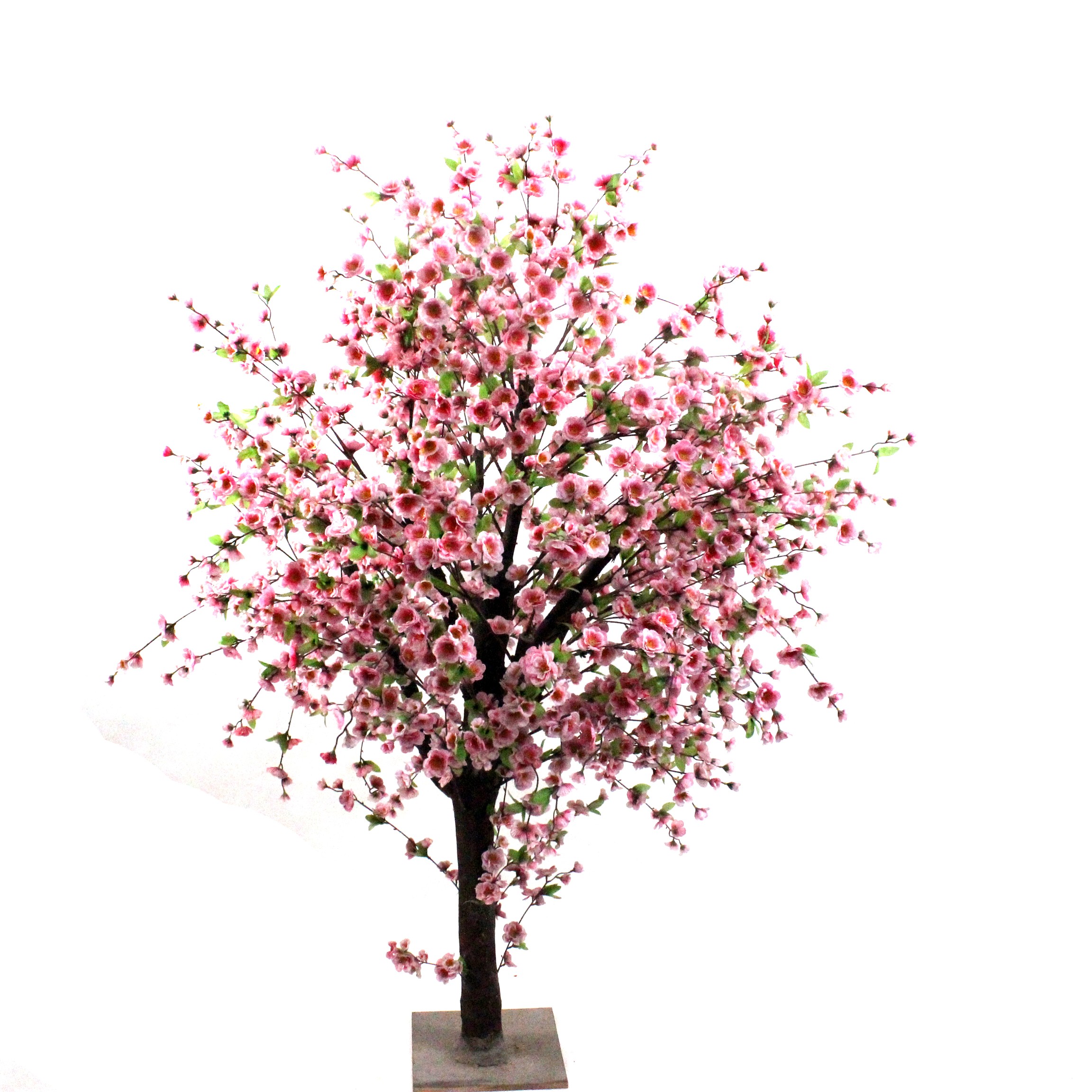 Peach Blossom Trees