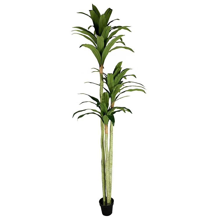 Artificial Dracaena Fragrans