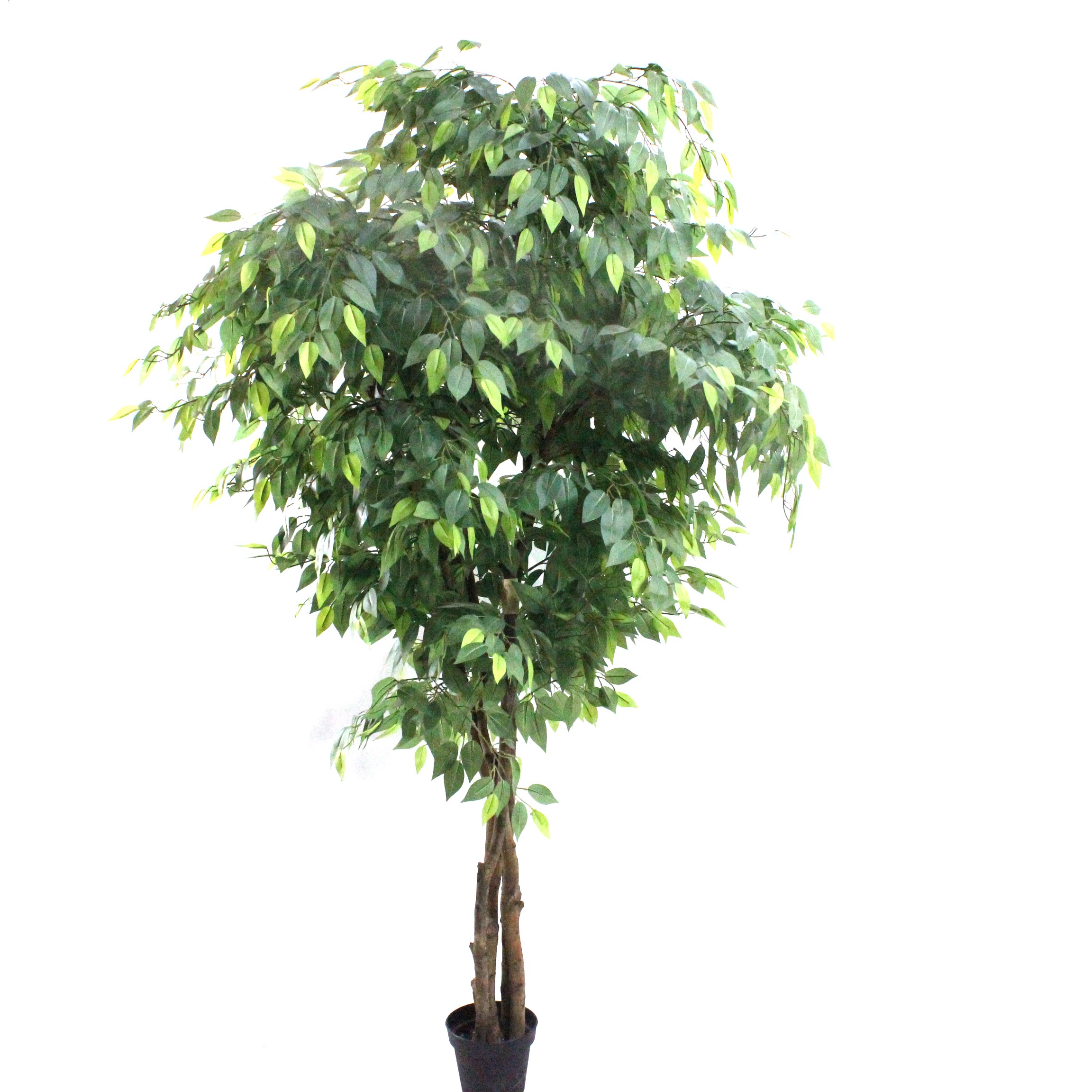 Artificial Ficus Trees