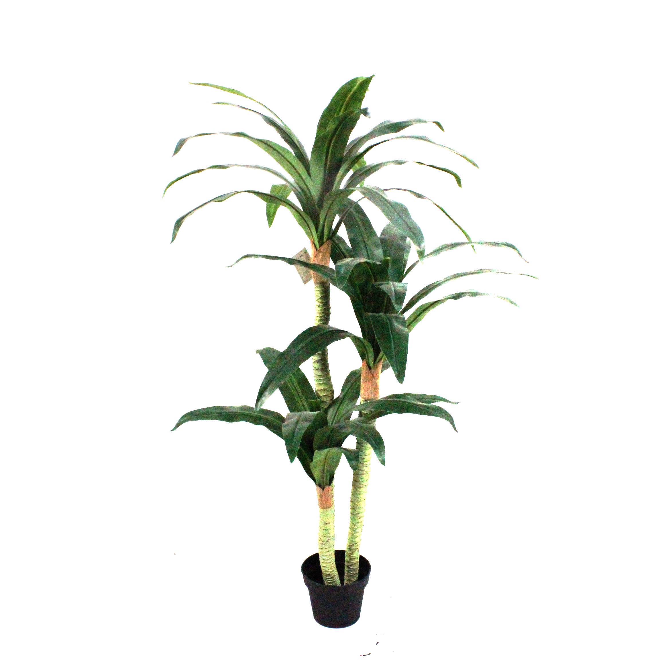 Artificial Dracaena Fragrans