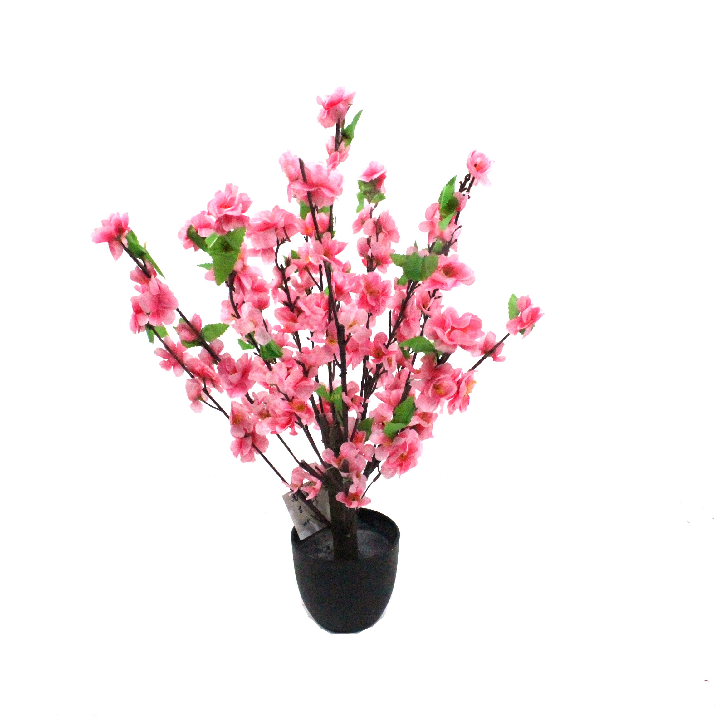 Peach Blossom Trees