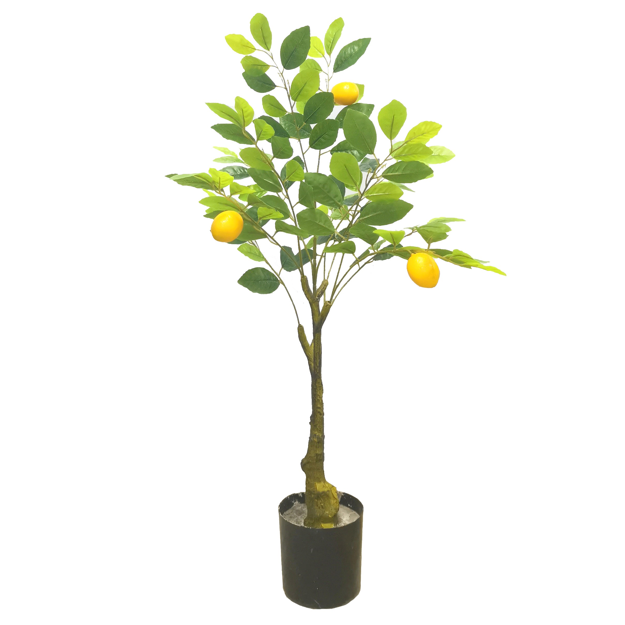 Artificial Lemon Trees