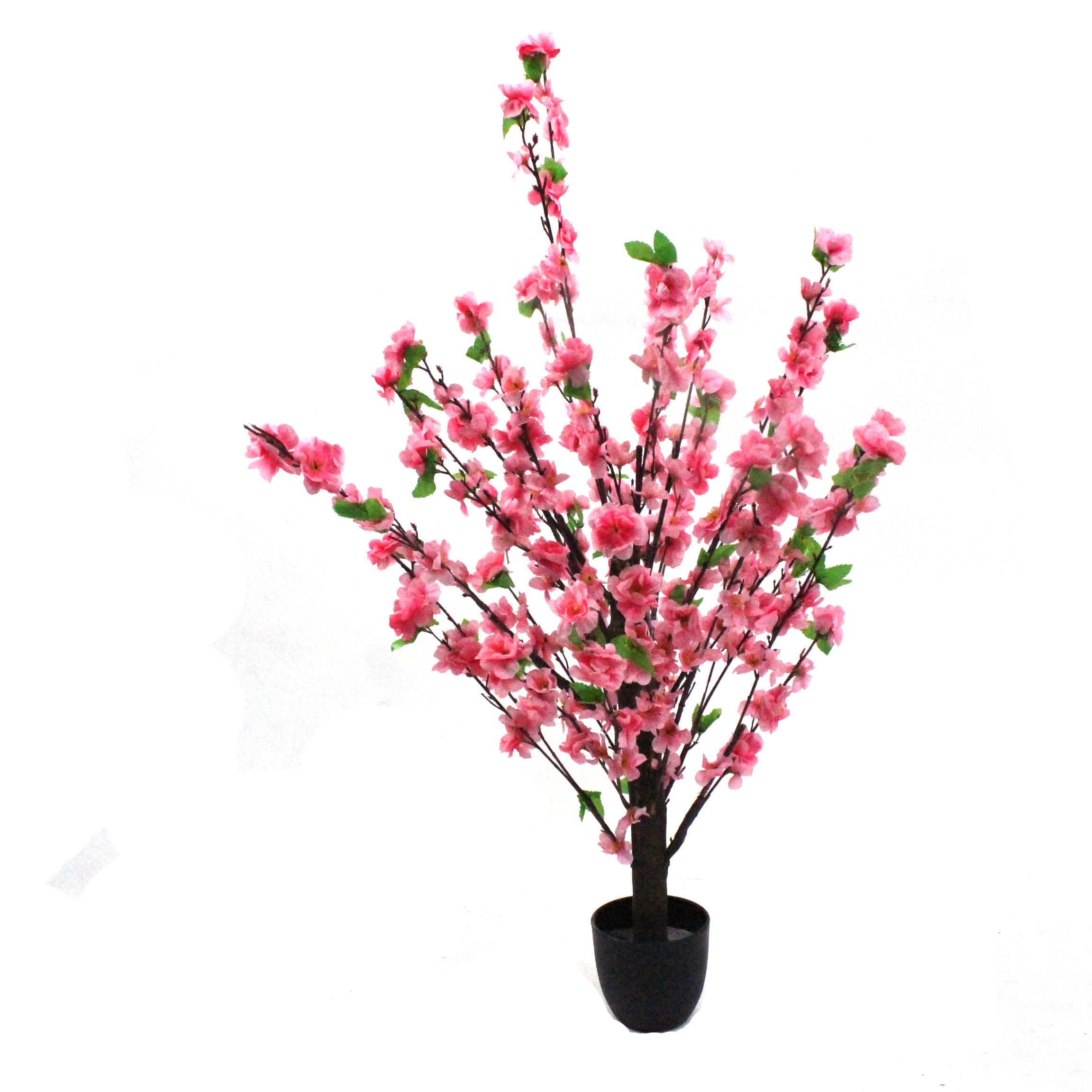 Peach Blossom Trees