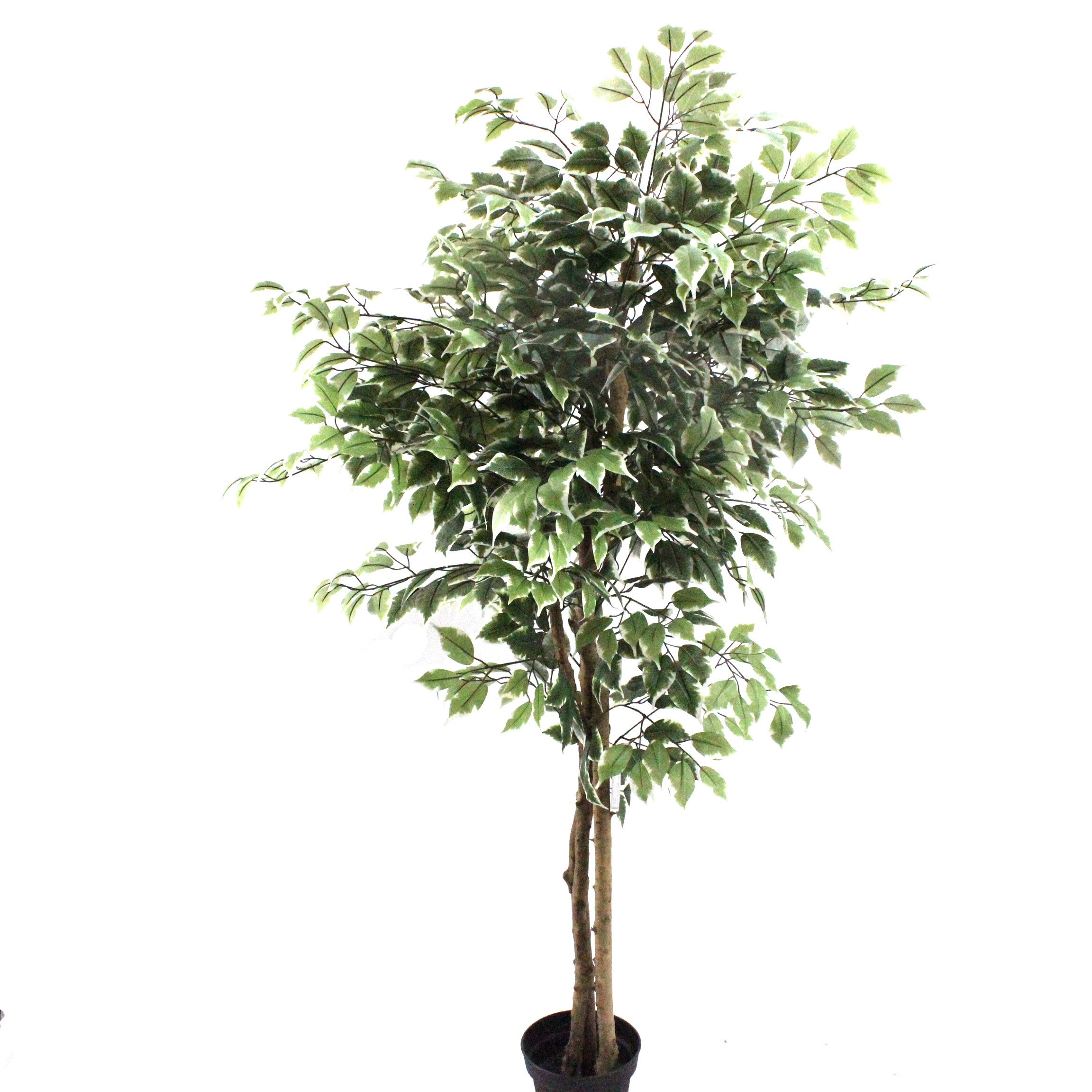 Artificial Ficus Trees