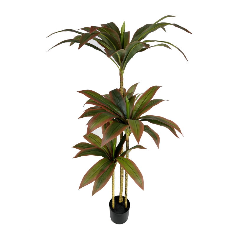 Artificial Dracaena Fragrans