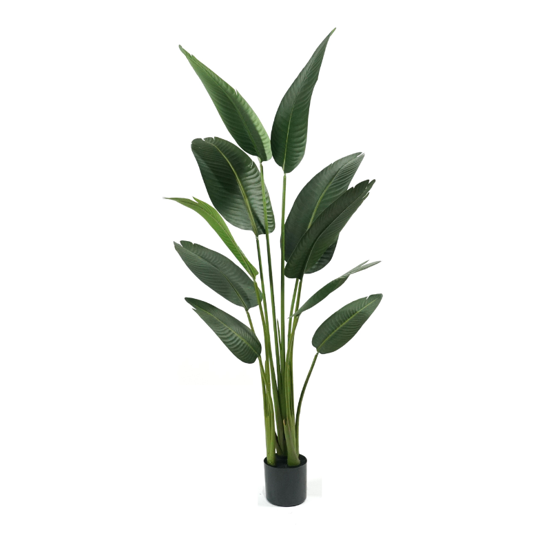 Artificial Canna, Traveler's Palm, and Banana Trees
