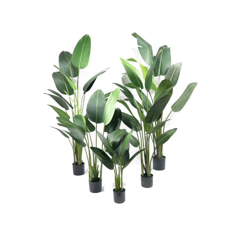 Artificial Canna, Traveler's Palm, and Banana Trees