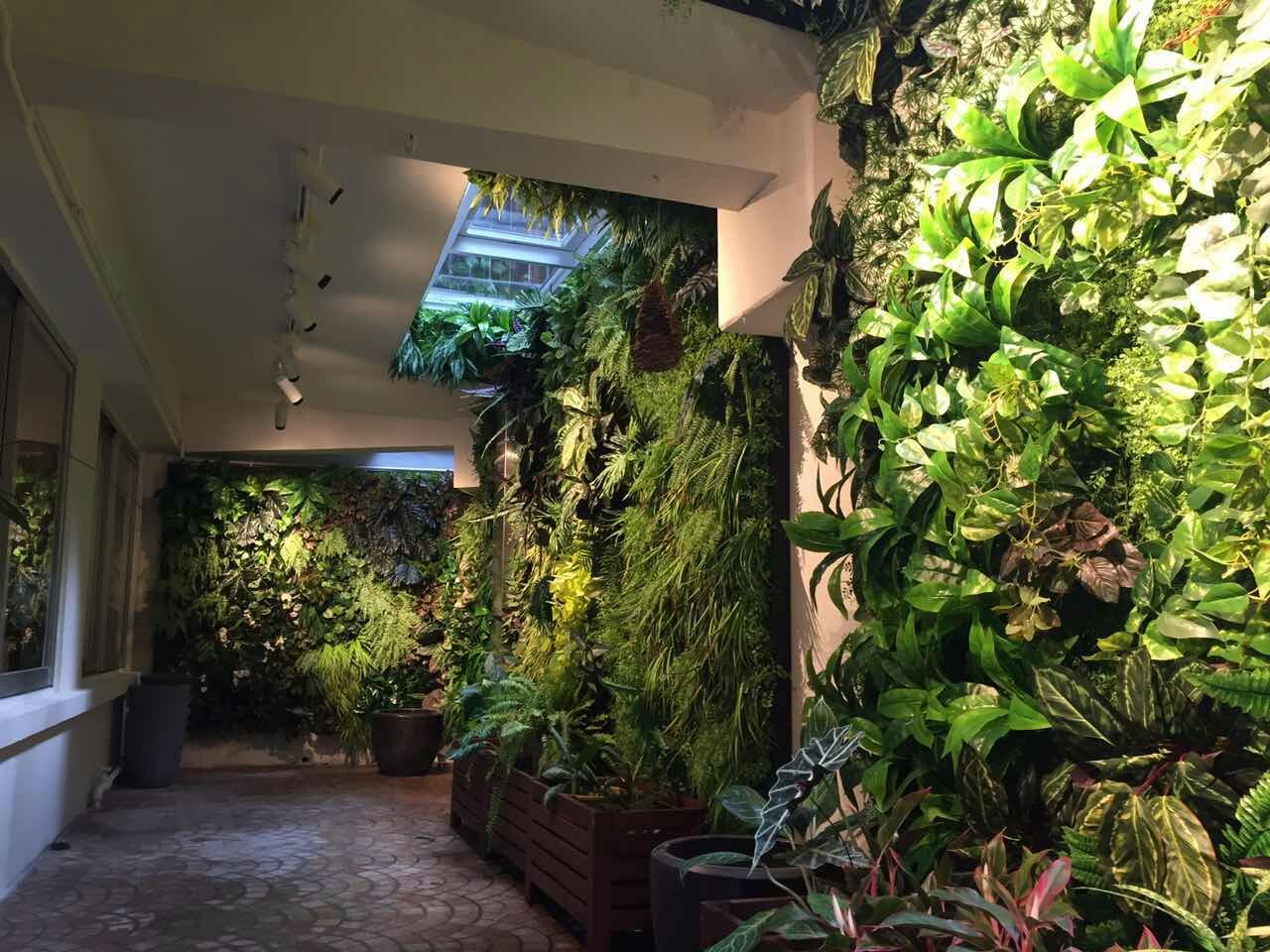 Hong Kong Plant Wall