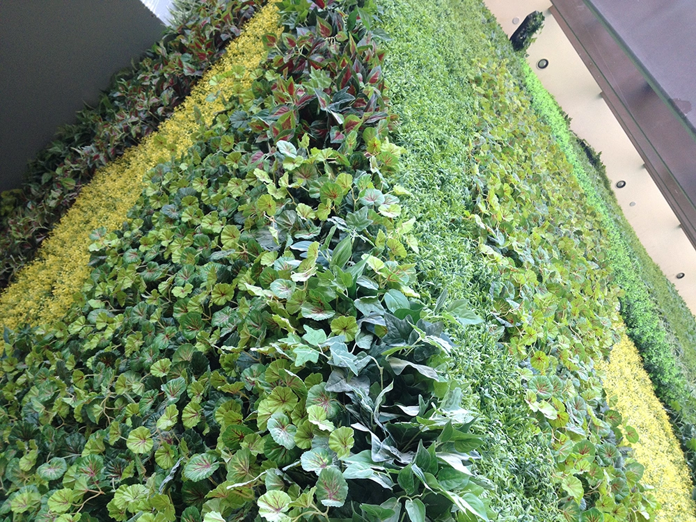 The 680 square meters aftificial green wall in Zhengzhou Mingmen