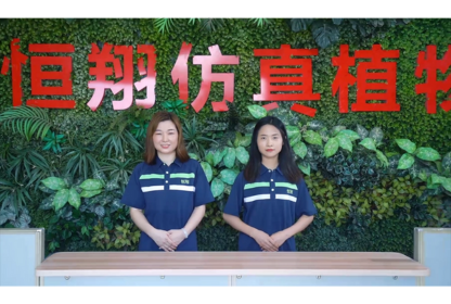 Company Profile