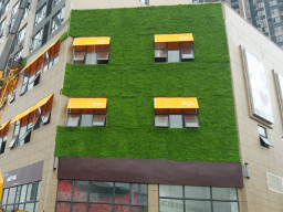 Guizhou Tongren Qilong International Convention and Exhibition Center Plant Wall
