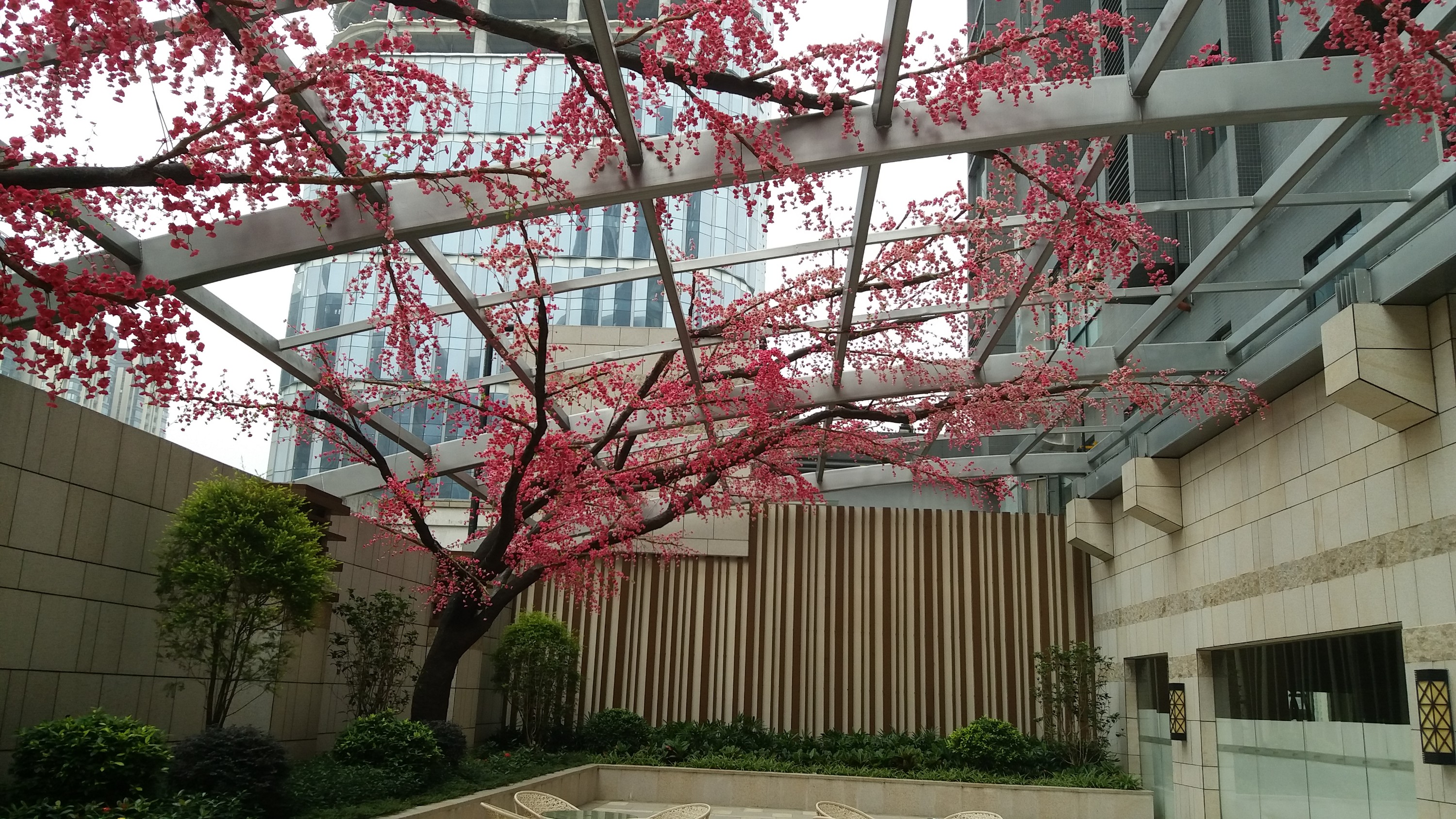 AAA Foshan Hengfu International Peach Blossom Tree