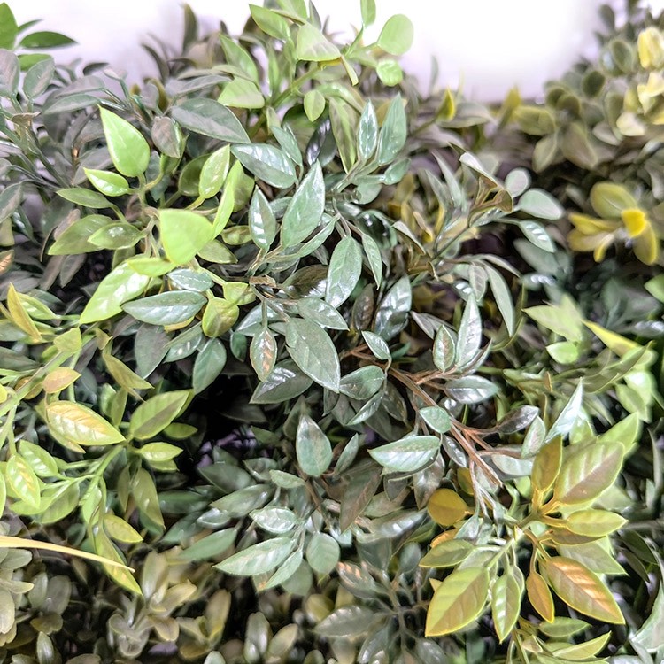 India Fireproof And UV Artificial Green Wall 