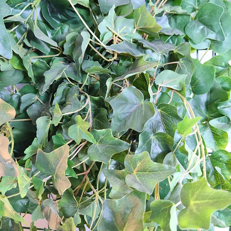 Australia Office Decoration Indoor Artificial Plant Wall