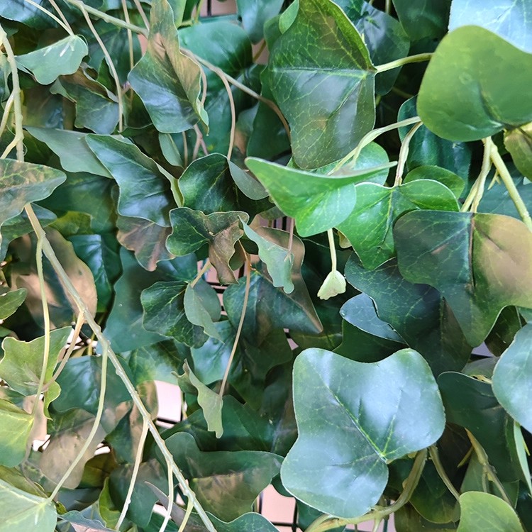 Australia Office Decoration Indoor Artificial Plant Wall