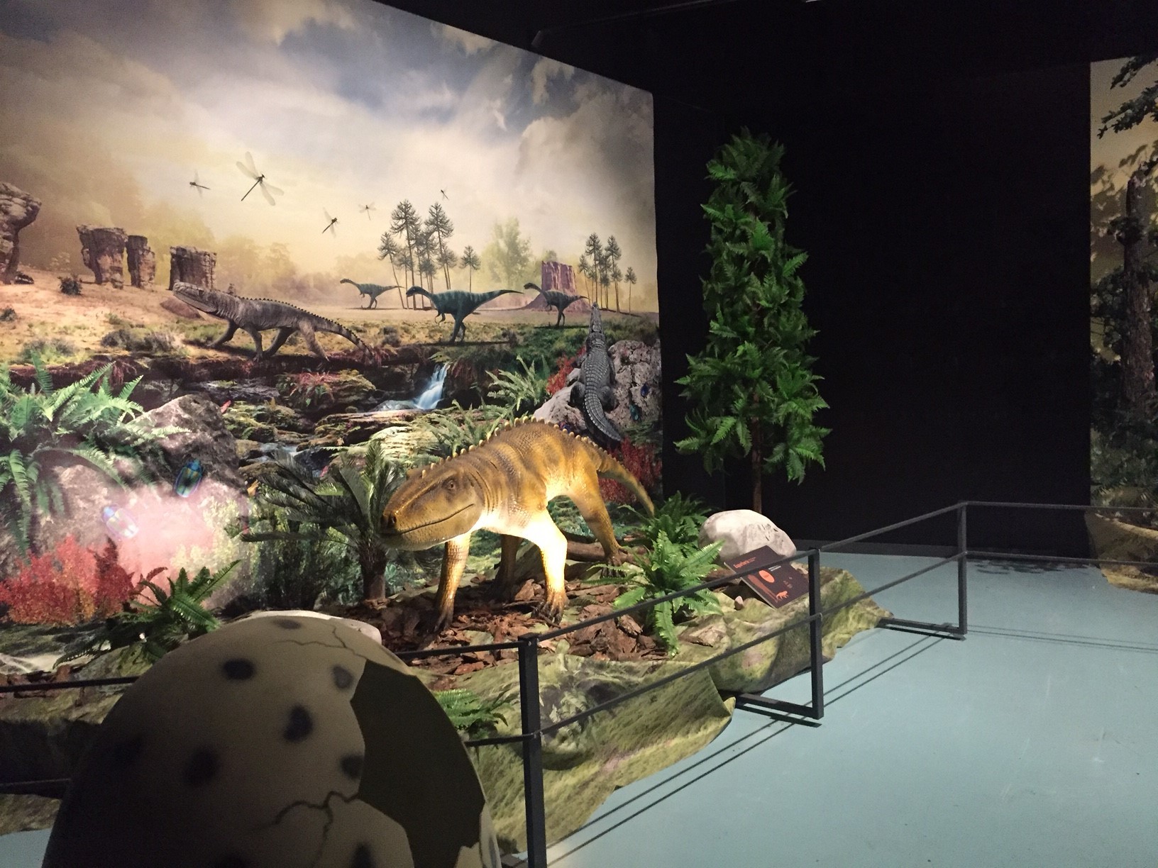 22222 Turkey Dinosaur Museum