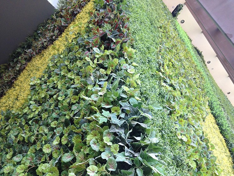 Australia Indoor Building Decoration Artificial Green