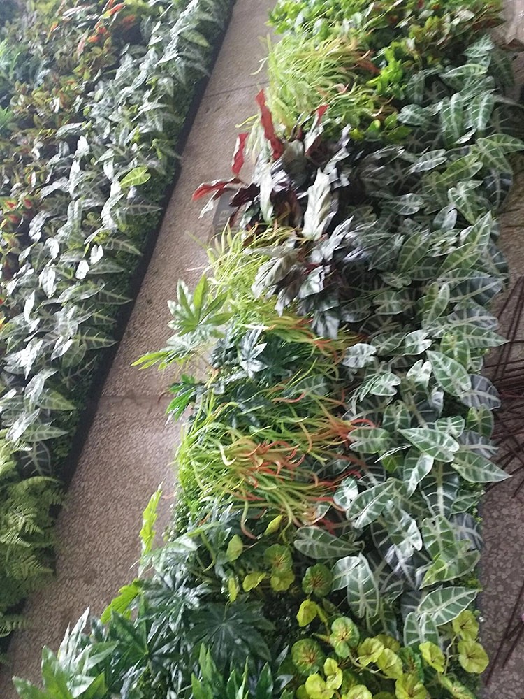 UK Office Decoration Indoor Artificial Green Wall 