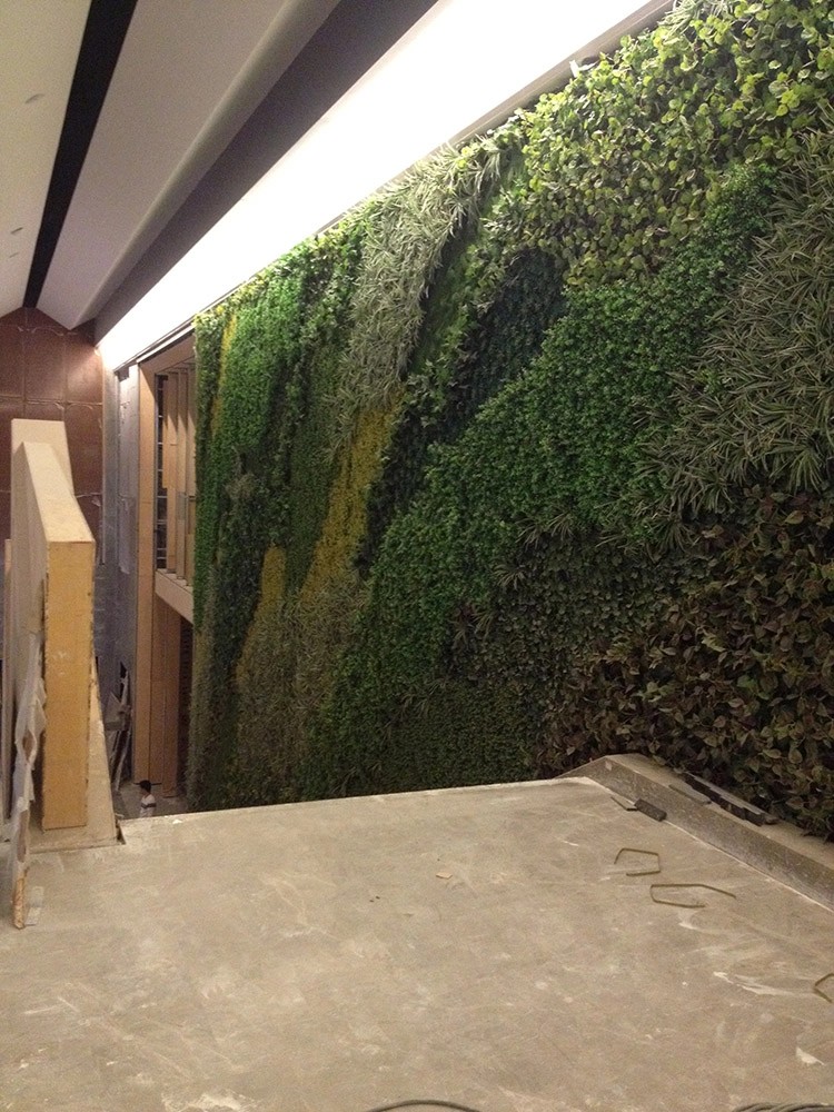 Australia Indoor Building Decoration Artificial Green