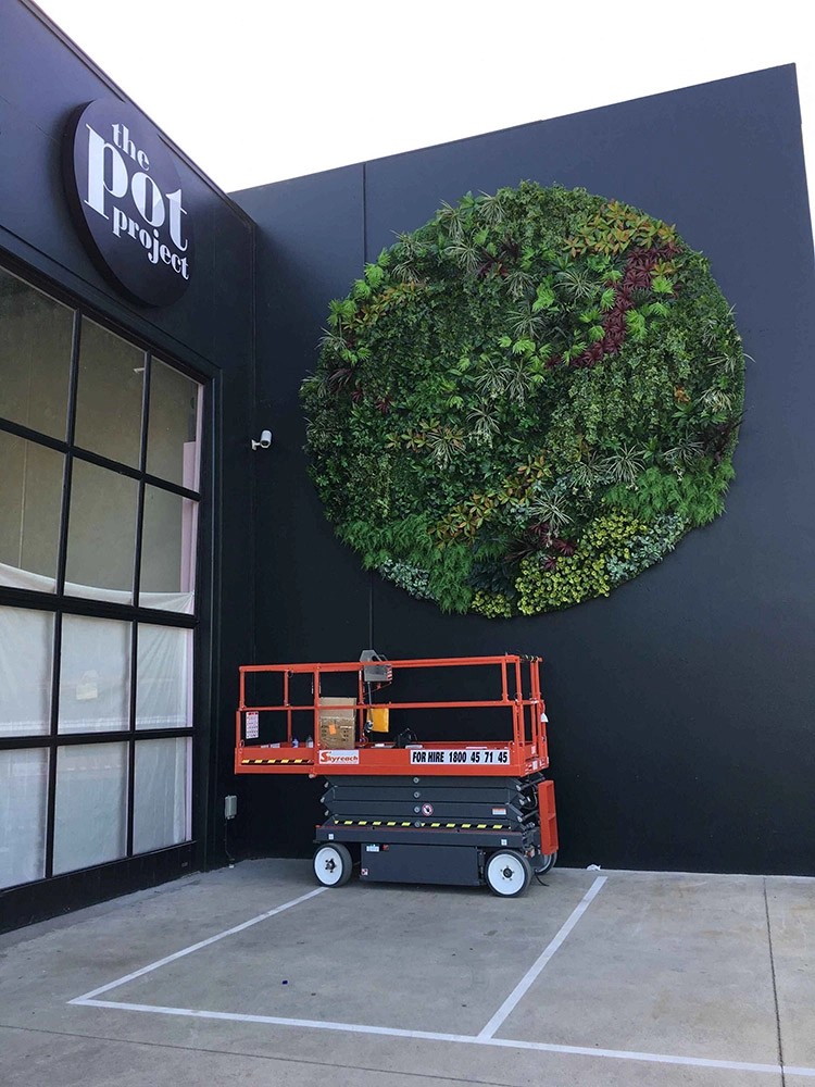 Australia Indoor Building Decoration Artificial Green