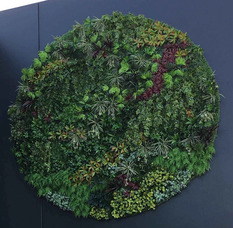 Australia Indoor Building Decoration Artificial Green