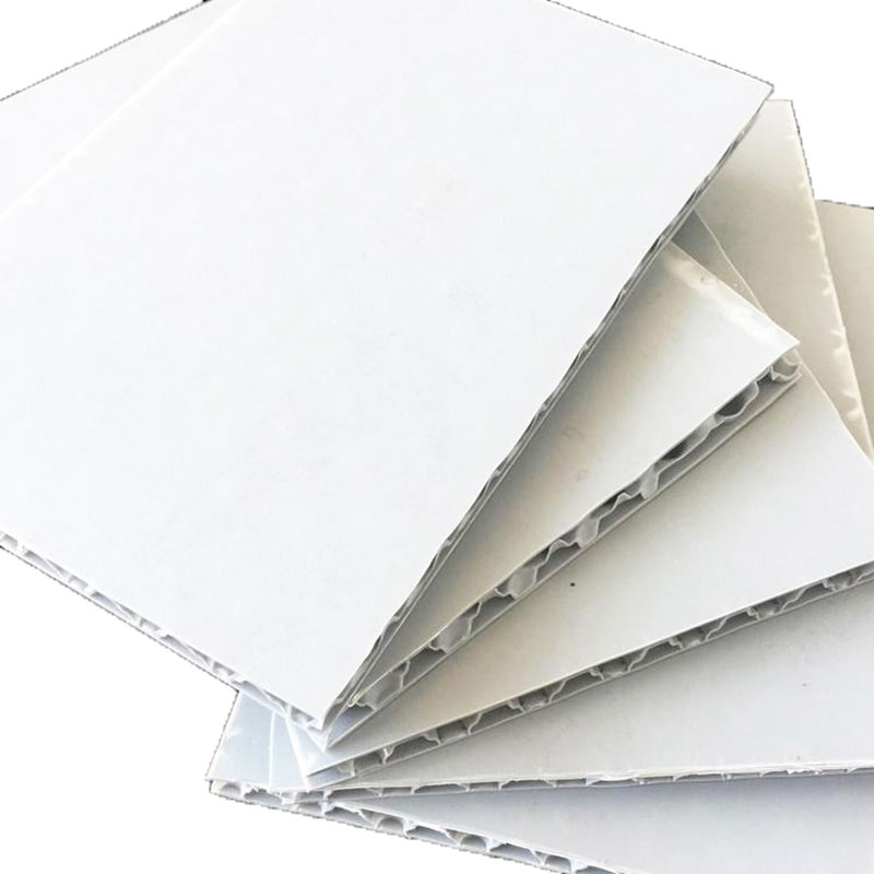 PP Honeycomb Board