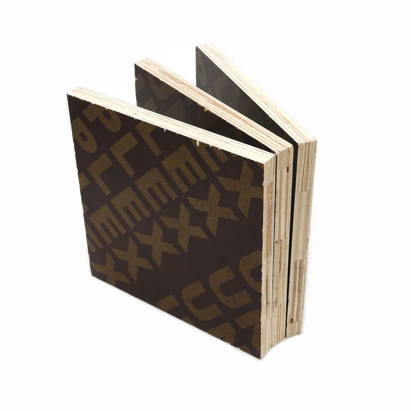 Black Tectorial Membrane Building Formwork