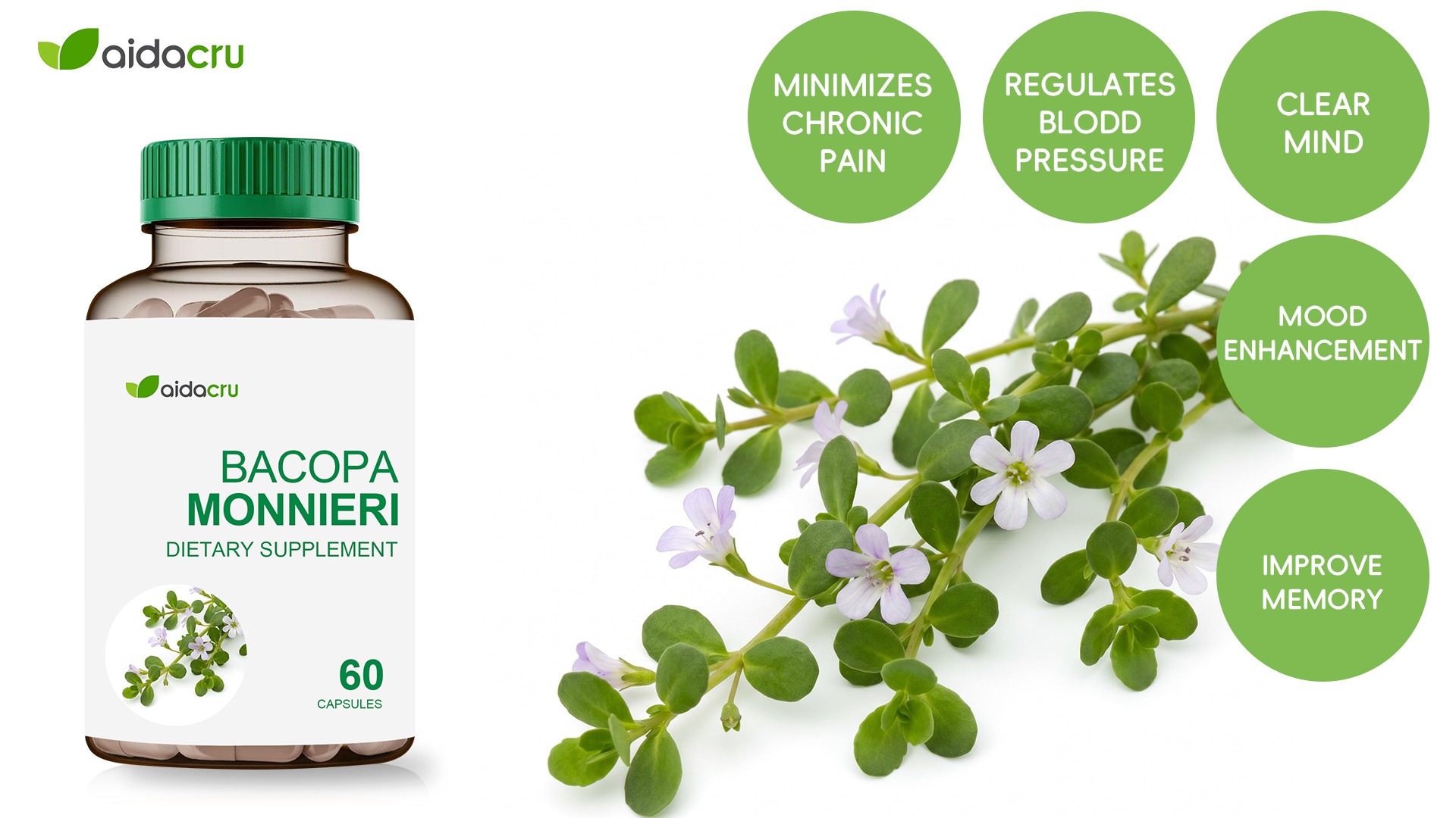 Bacopa Monnieri Extract - High-Purity Raw Material for OEM/ODM Supplement Manufacturing