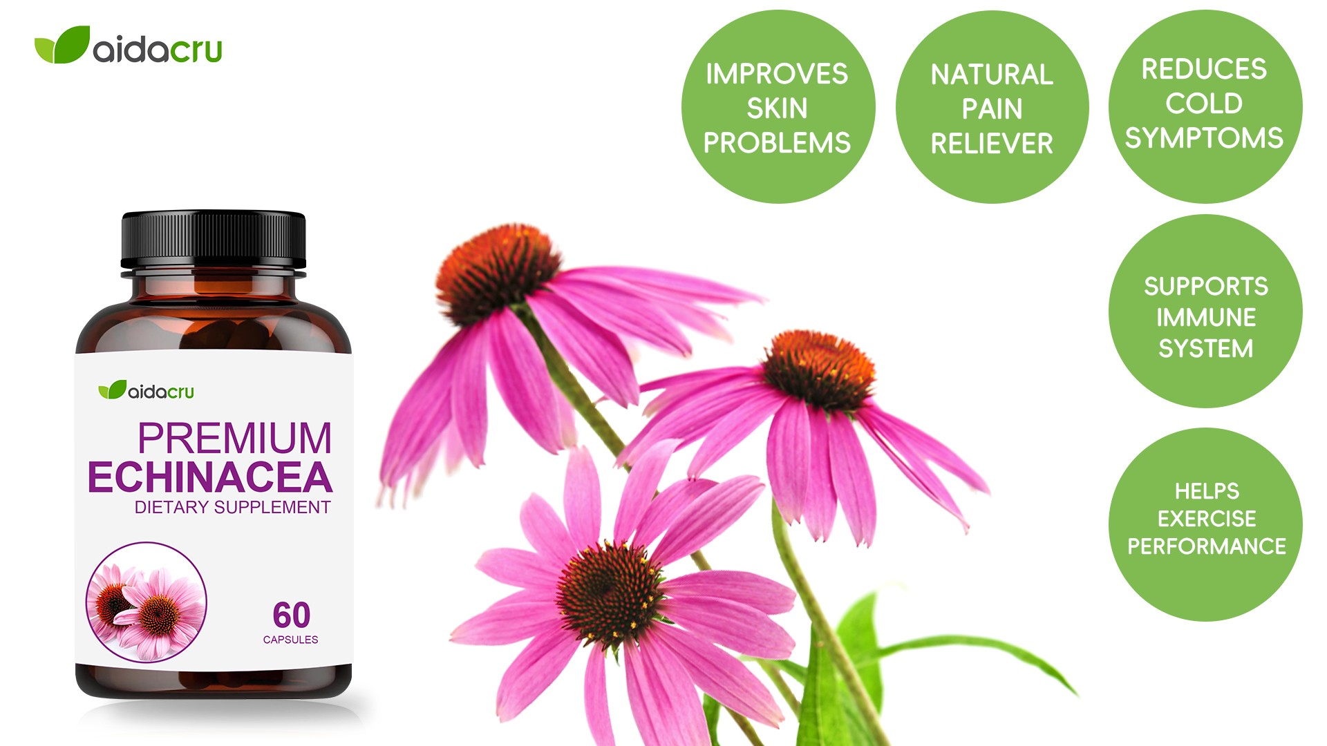 Echinacea Extract Powder 