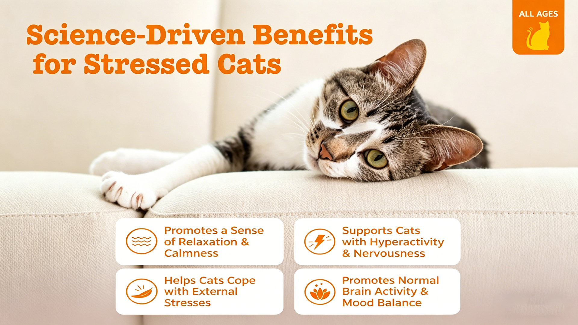 Calming Cat Bites product image