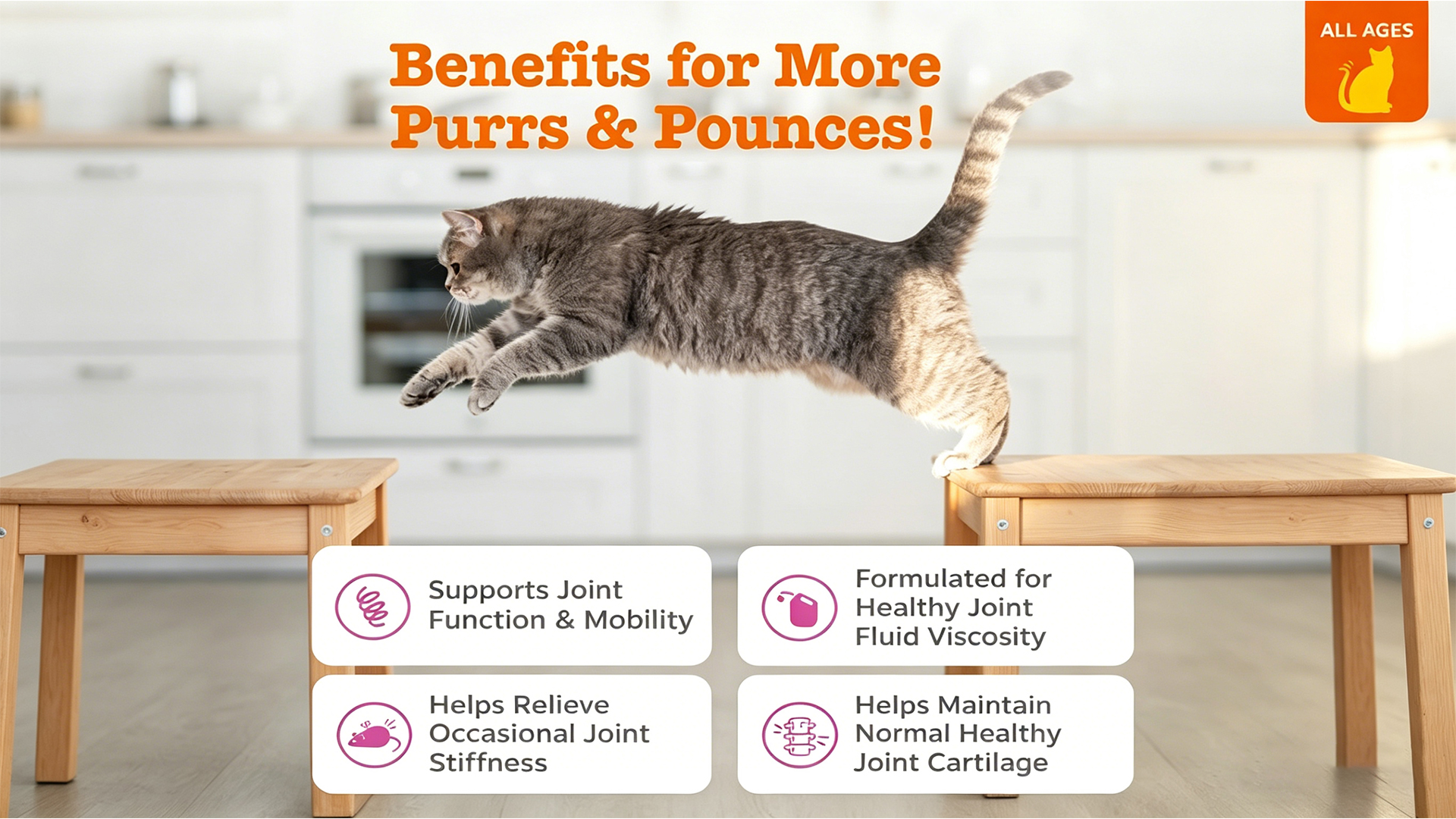 Hip & Joint Cat Bites product image
