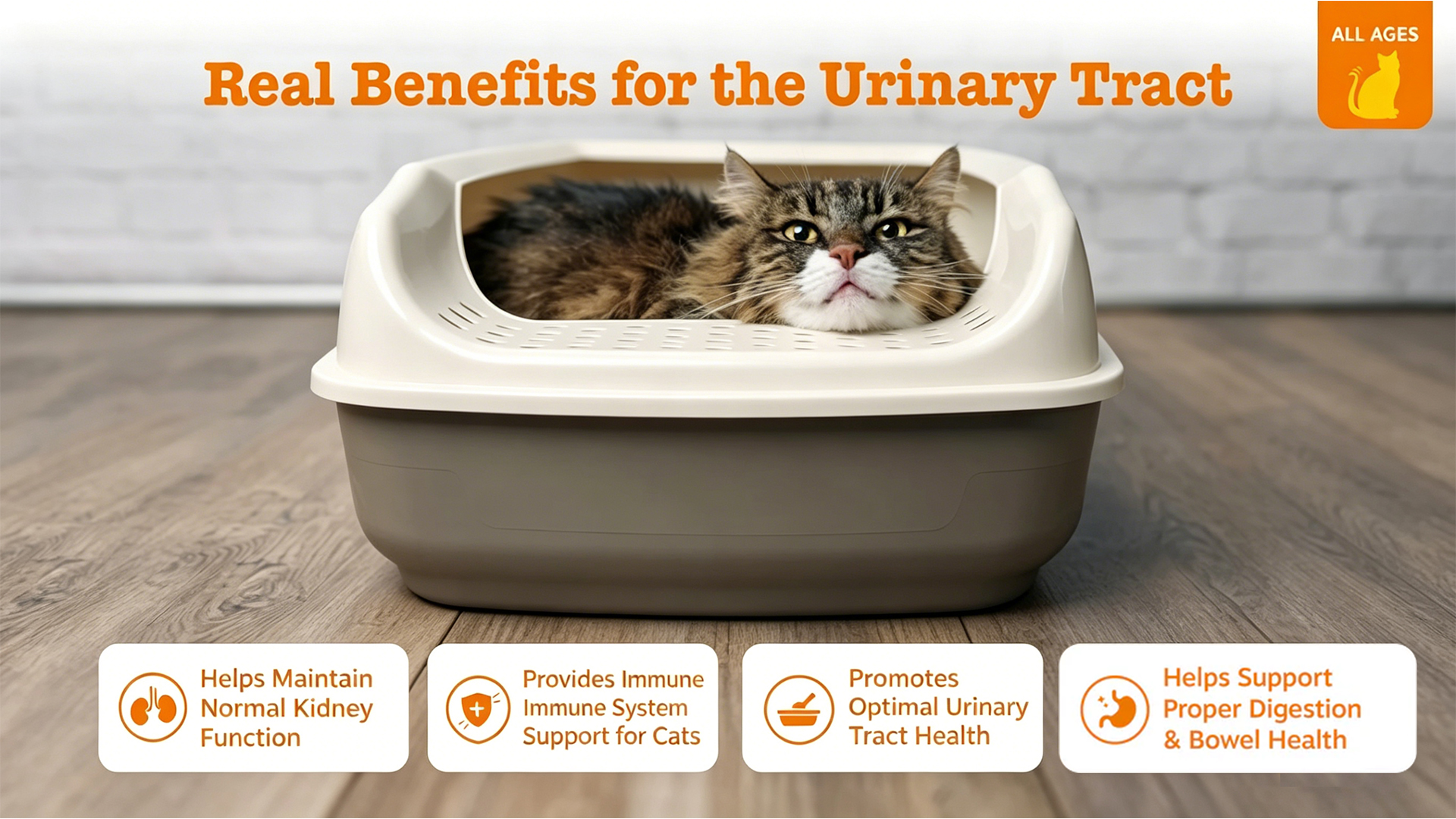 Urinary Tract Cat Mousse detail image 3