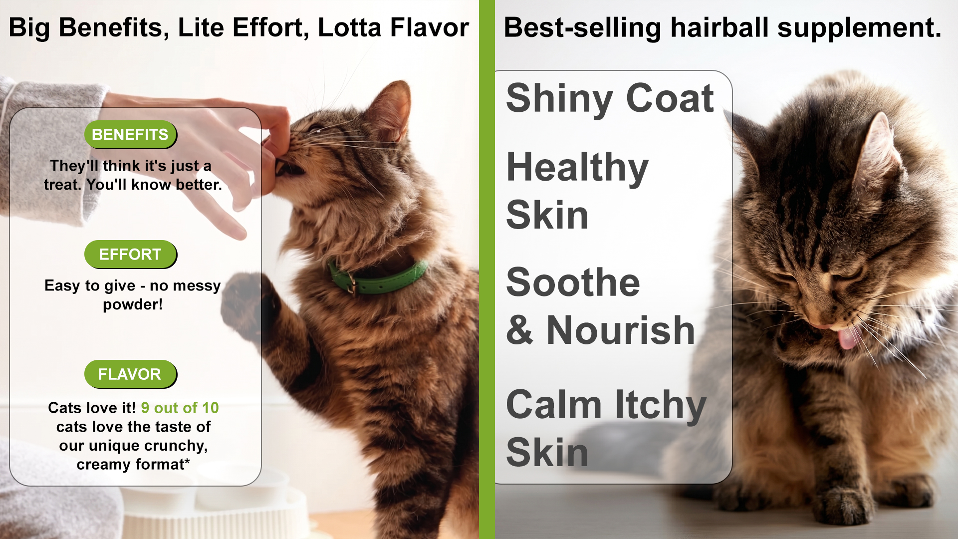 Skin & Coat Cat Soft Chews main product image