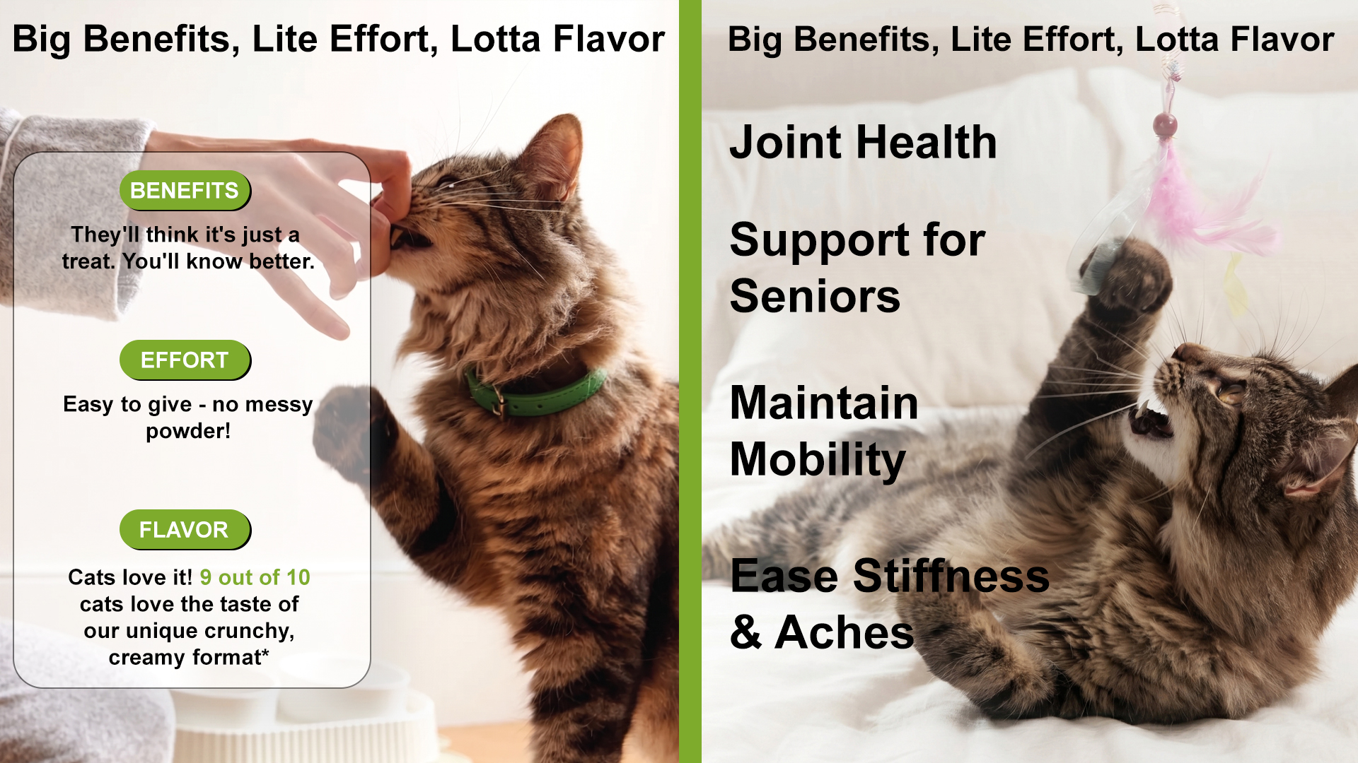 Senior Joint Support Cat Soft Chews detail image 2