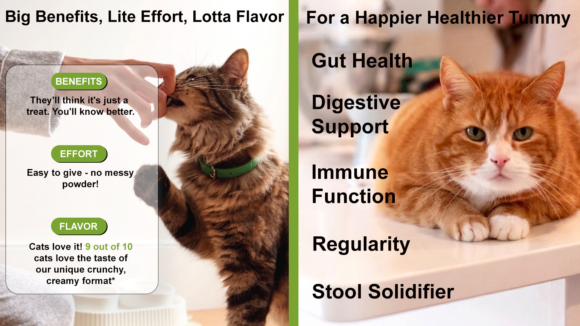 Daily Probiotics for Cats detail image 2