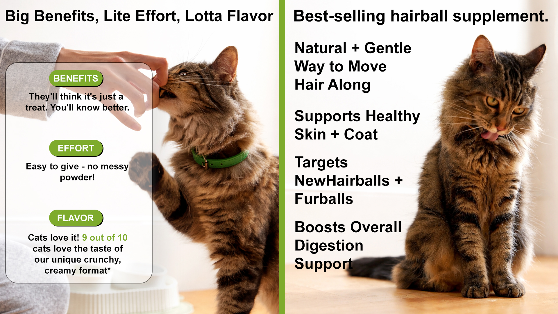 Hairball Skin & Coat Cat Soft Chews main product image