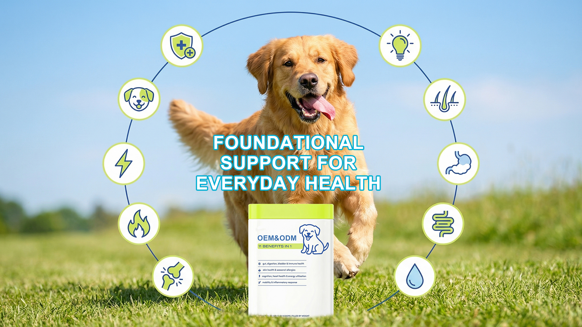 11-in-1 Dog Multivitamin Powder product image