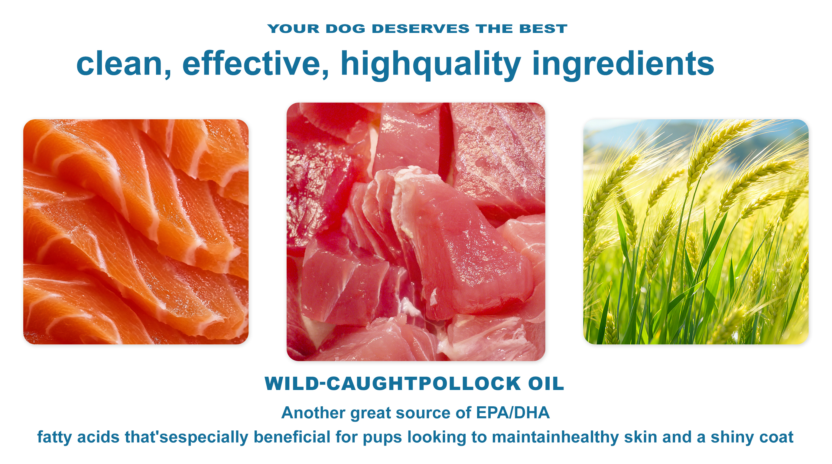 Wild-Caught Omega-3 Dog Topper product image