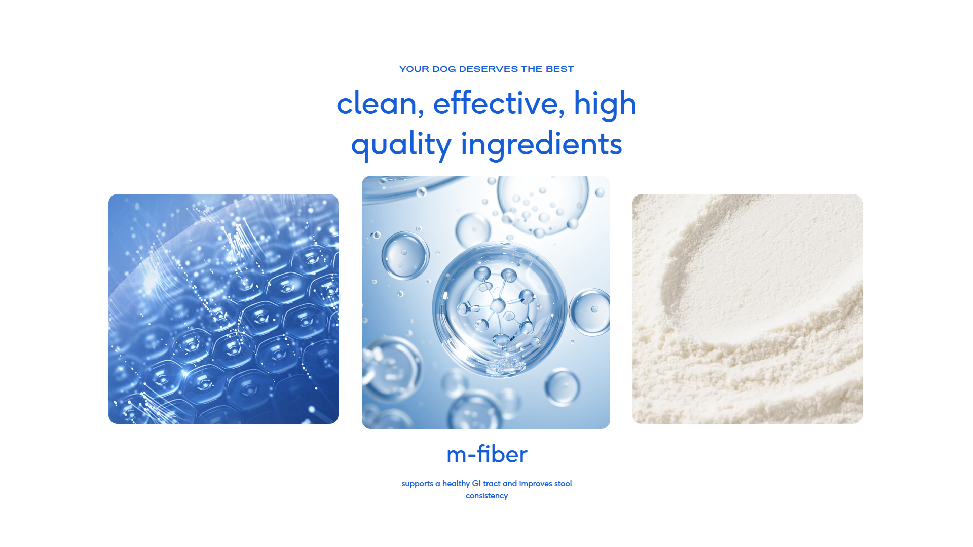Firm Stool Dog Digestive Powder product image