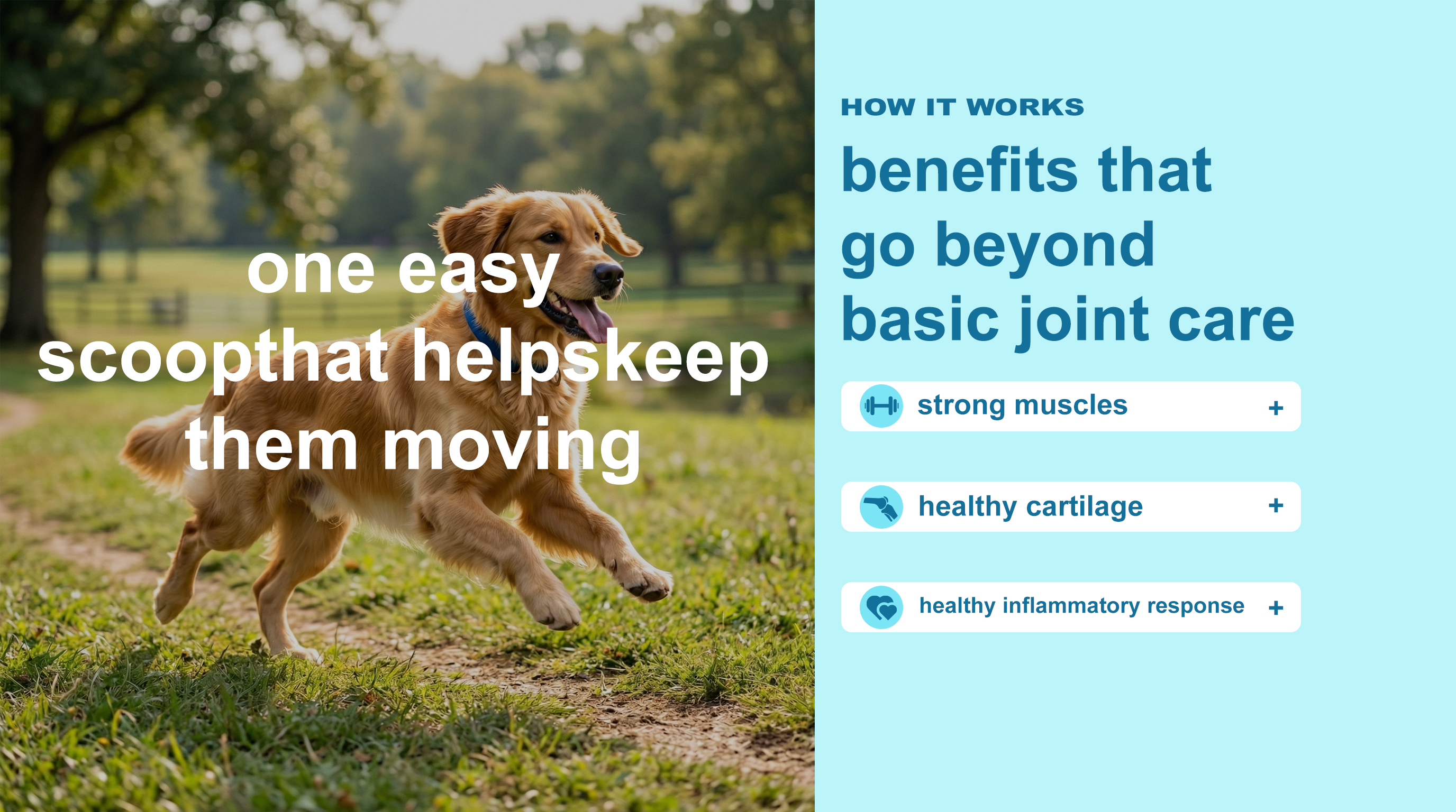 Basic Joint Care Dog Topper product image