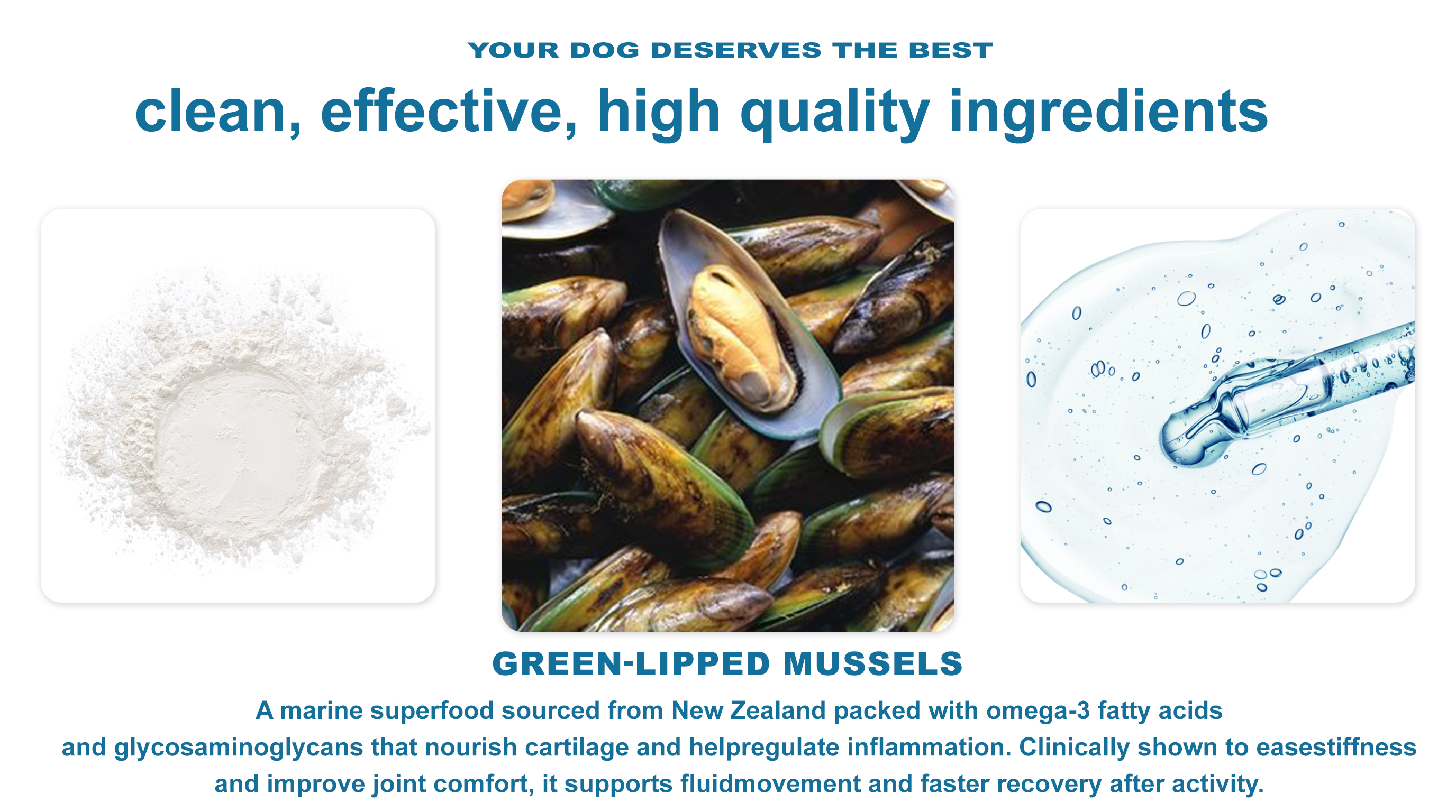 Basic Joint Care Dog Topper product image