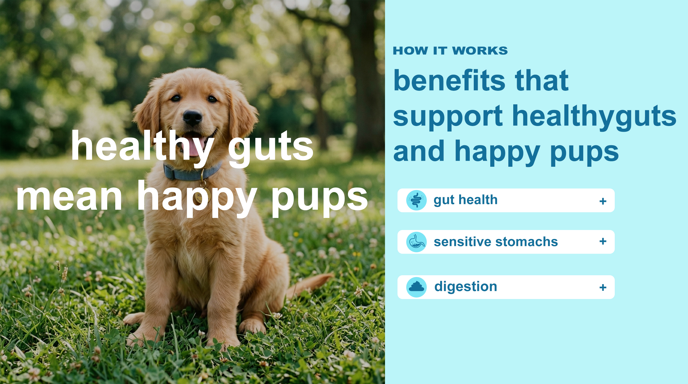 Happy Gut Dog Digestive Support detail image 2