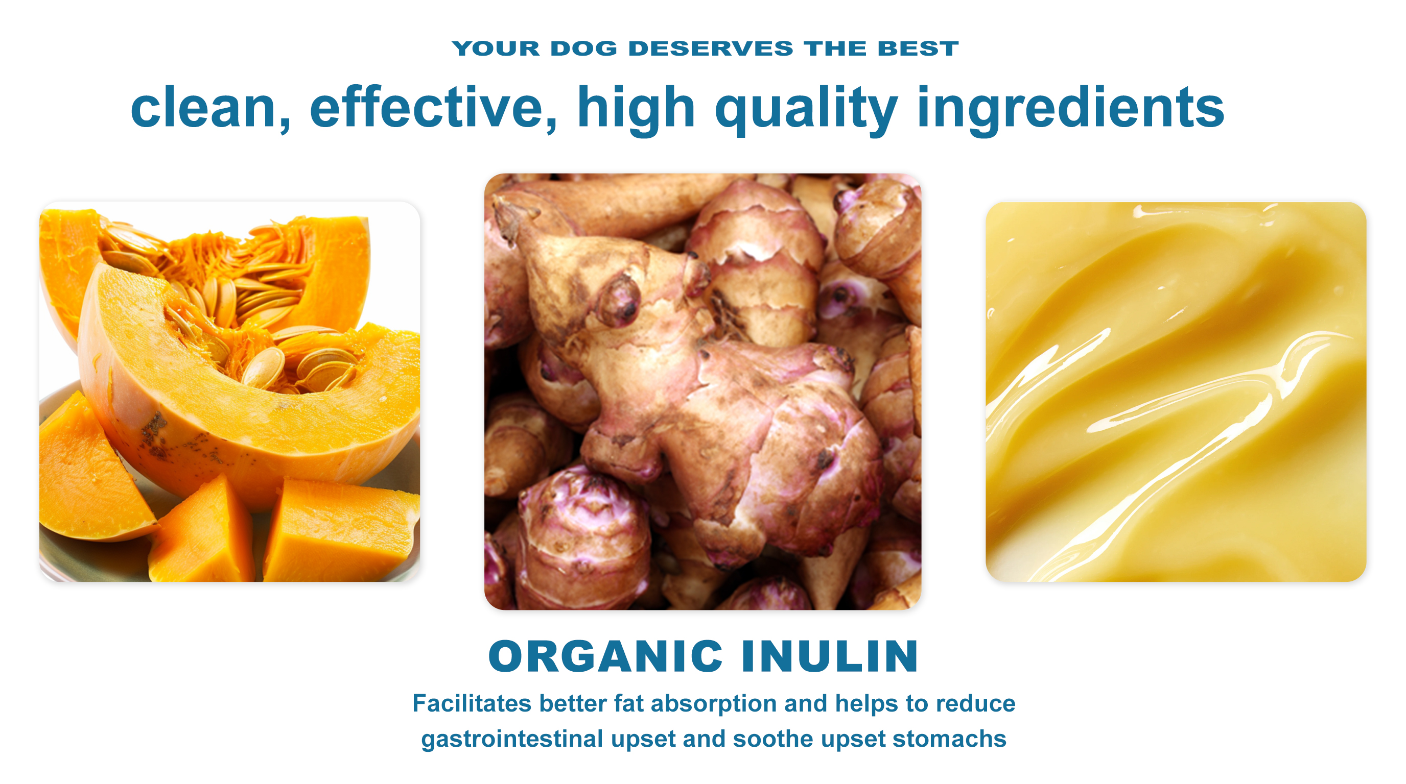 Happy Gut Dog Digestive Support detail image 3