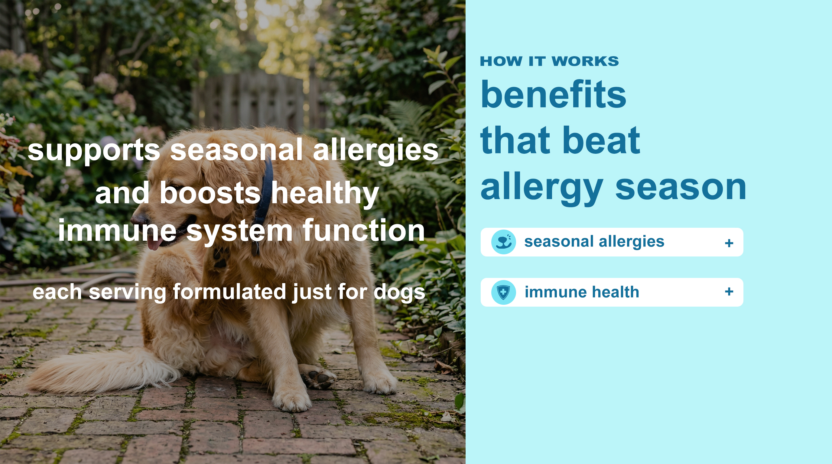 Seasonal Allergy & Immune Support for Dogs product image