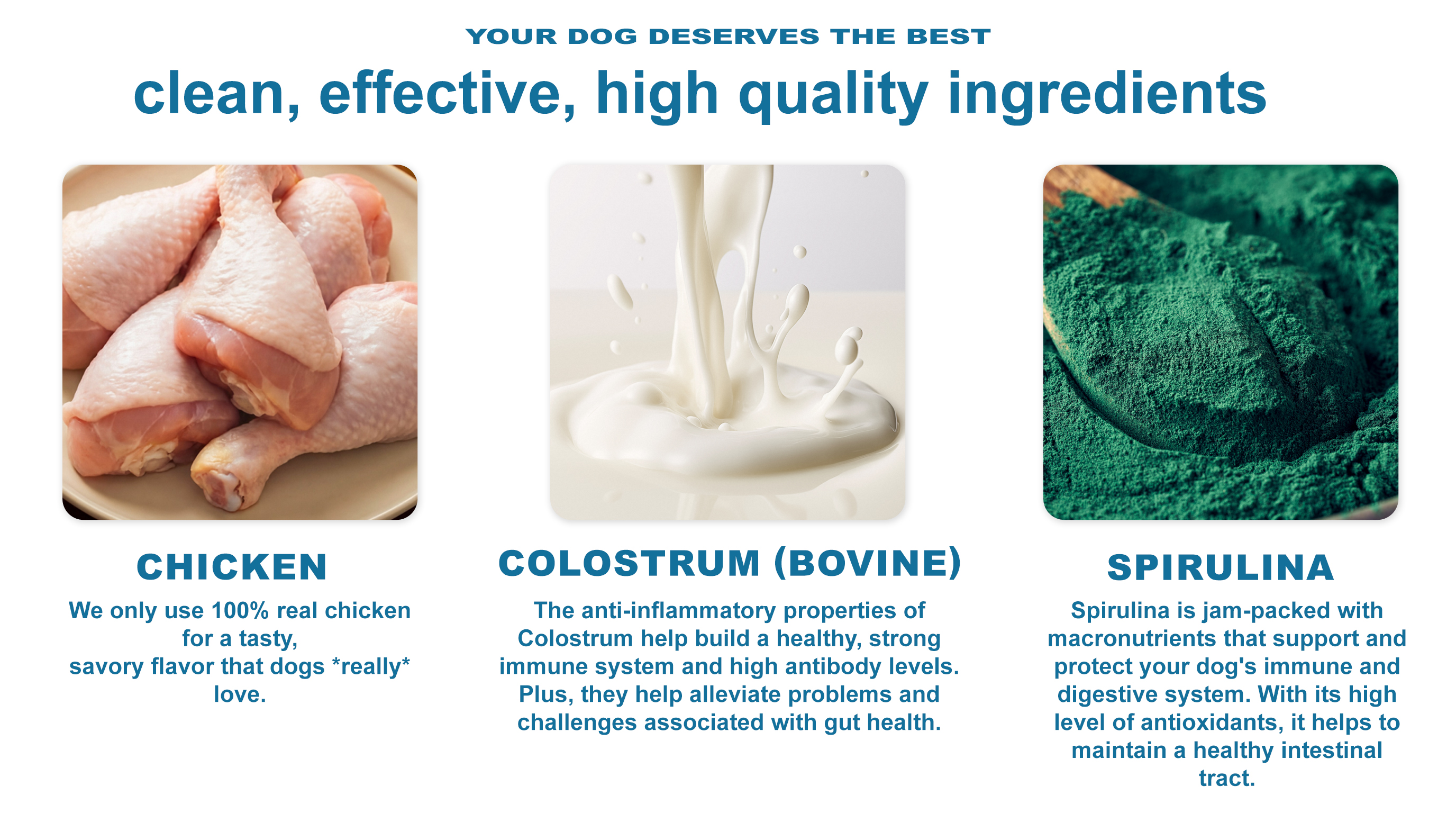 Seasonal Allergy & Immune Support for Dogs product image