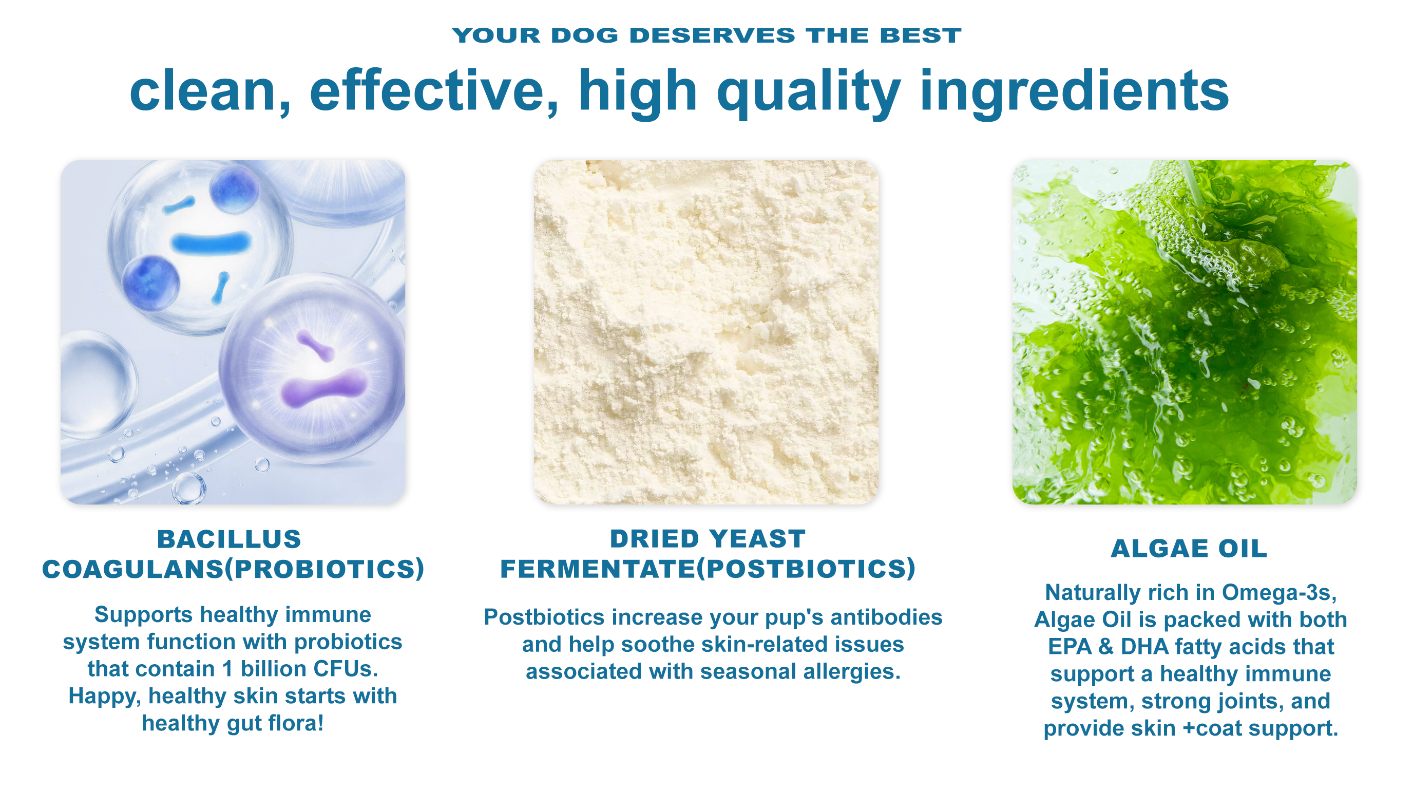 Seasonal Allergy & Immune Support for Dogs product image