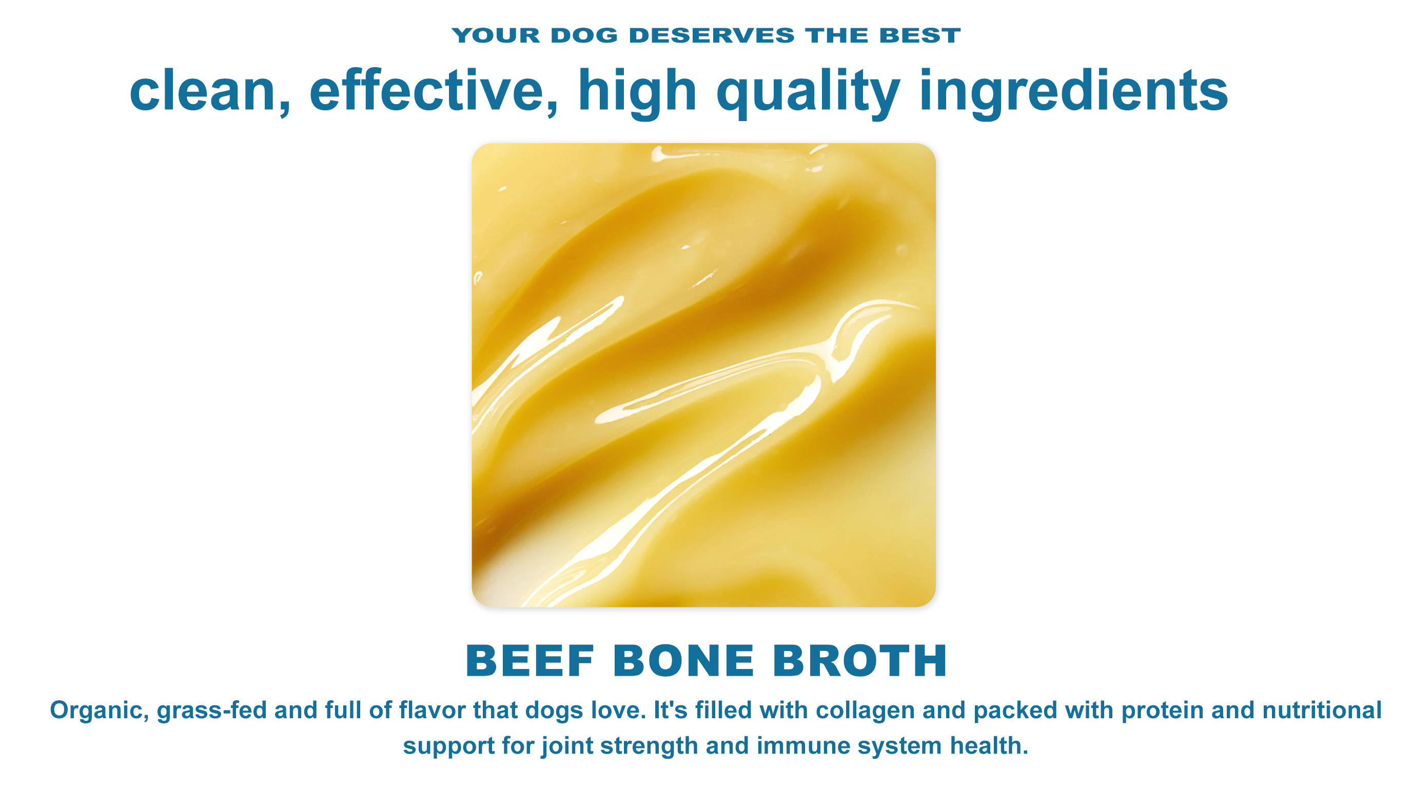 Immune Hydration Support Dog Topper product image