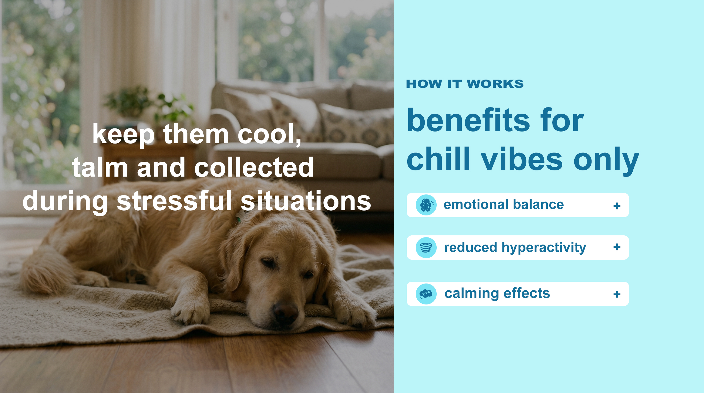 Calming Support Dog Supplement detail image 2